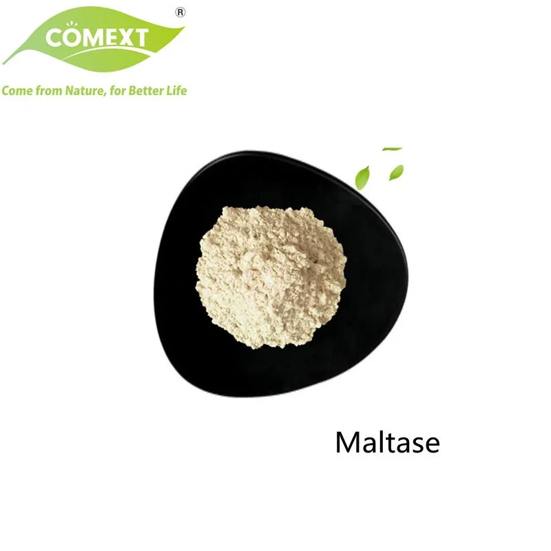 Comext Manufacturer Food Grade Factory Direct Maltase Powder Enzyme for Improve Digestion