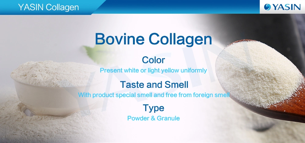 Animal Protein Collagen Hydrolyzed Collagen Powder