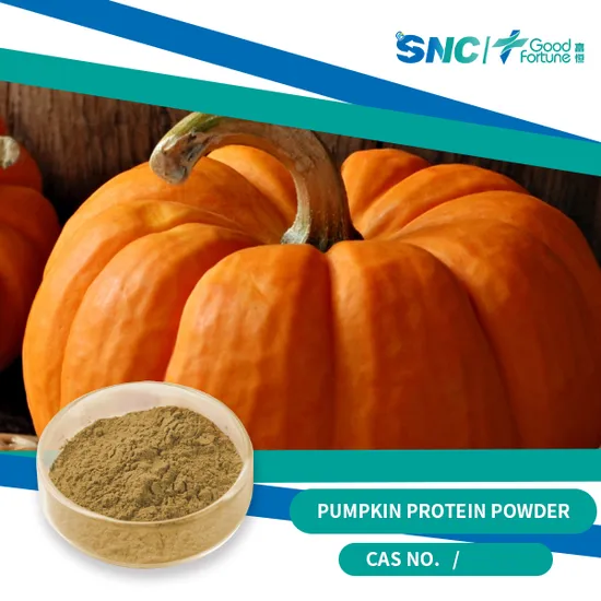 Vegetable Vegan Plant Protein 60% 70% Green Pumpkin Seed Protein Powder 