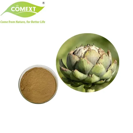 Comext Natural Plant Extract Cynarin 5% Artichoke Extract Powder with Free Sample 