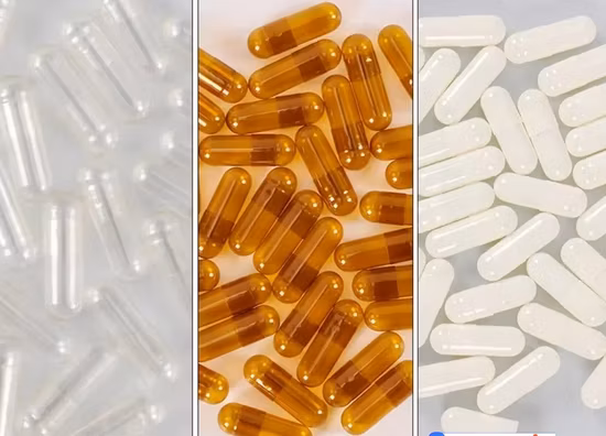 Various Size Transparent Empty Capsule HPMC Gelatin Plant Vegetable Halal Health Capsule Shell