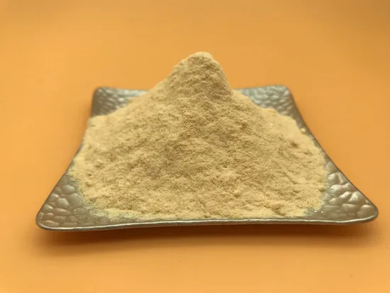 Enzymatic Hydrolysis Plant