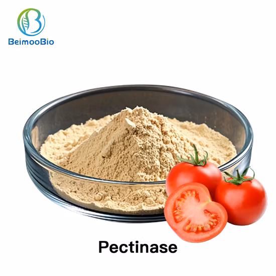Pectinase Enzyme for Fruit Mash Liquefaction and Filtration Food Additive