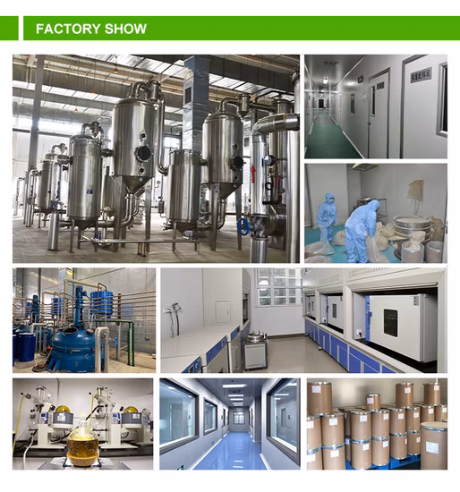 Comext Manufacturer Food Grade Factory Direct Maltase Powder Enzyme for Improve Digestion