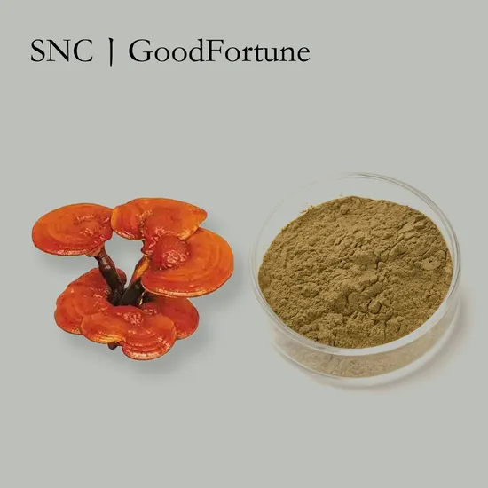 Pure Reishi Extract Powder for Natural Energy and Wellness 
