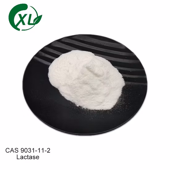 Factory 99% Lactase Powder CAS 9031